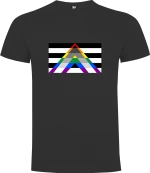 Ultimate LGBTQ+ Flag