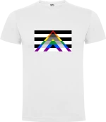 Ultimate LGBTQ+ Flag