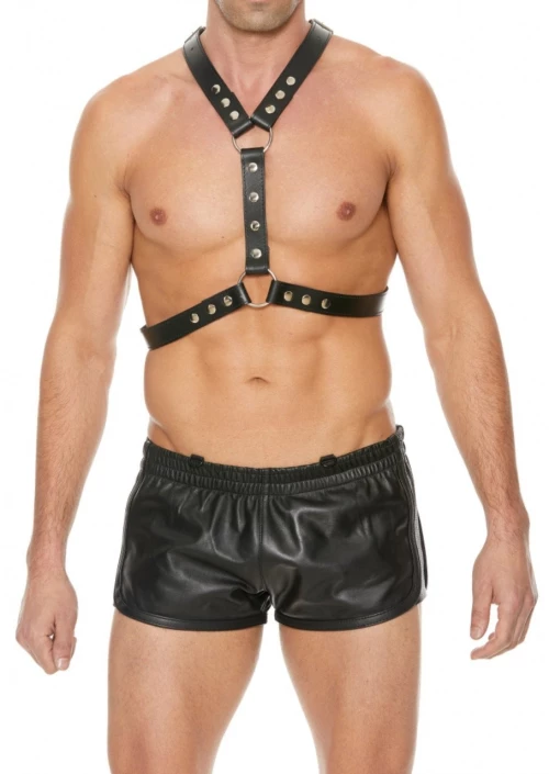 Harness With Metal Spots - Black