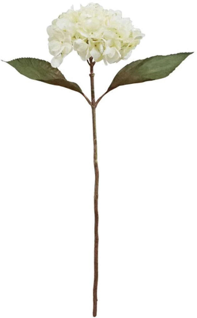 Λουλούδι - Κλαδί Ορτανσία 99-00-17910 65cm Champagne Marhome