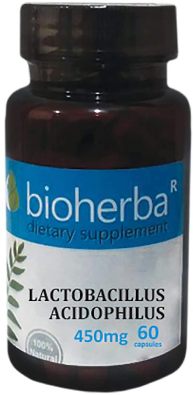 Bioherba Lactobacillus Acidophilus 450 mg [60 Κάψουλες]
