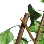 ΠΕΡΓΚΟΛΑ ΦΥΛΛΩΣΙΑ 1x2m ΠΡΑΣΙΝΟ ΣΚΟΥΡΟ GREEN TOOLS 103378