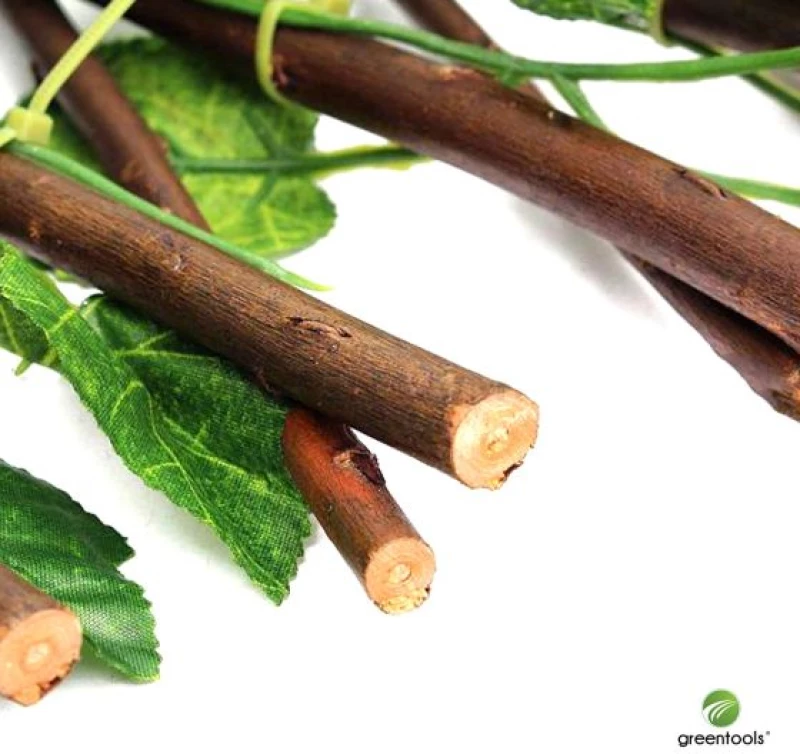ΠΕΡΓΚΟΛΑ ΦΥΛΛΩΣΙΑ 1x2m ΠΡΑΣΙΝΟ ΣΚΟΥΡΟ GREEN TOOLS 103378