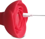 Blk plug usb anal