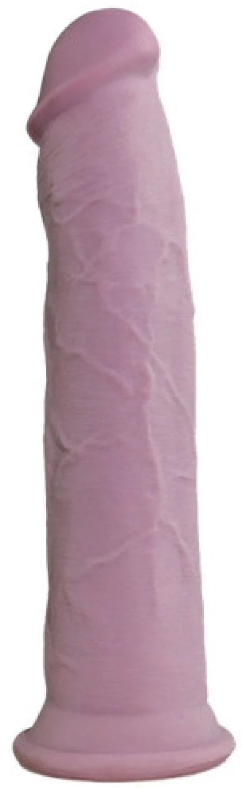 TOYBOY RONALD Realistic Dual Layer suctioned Dildo 28.5 cm