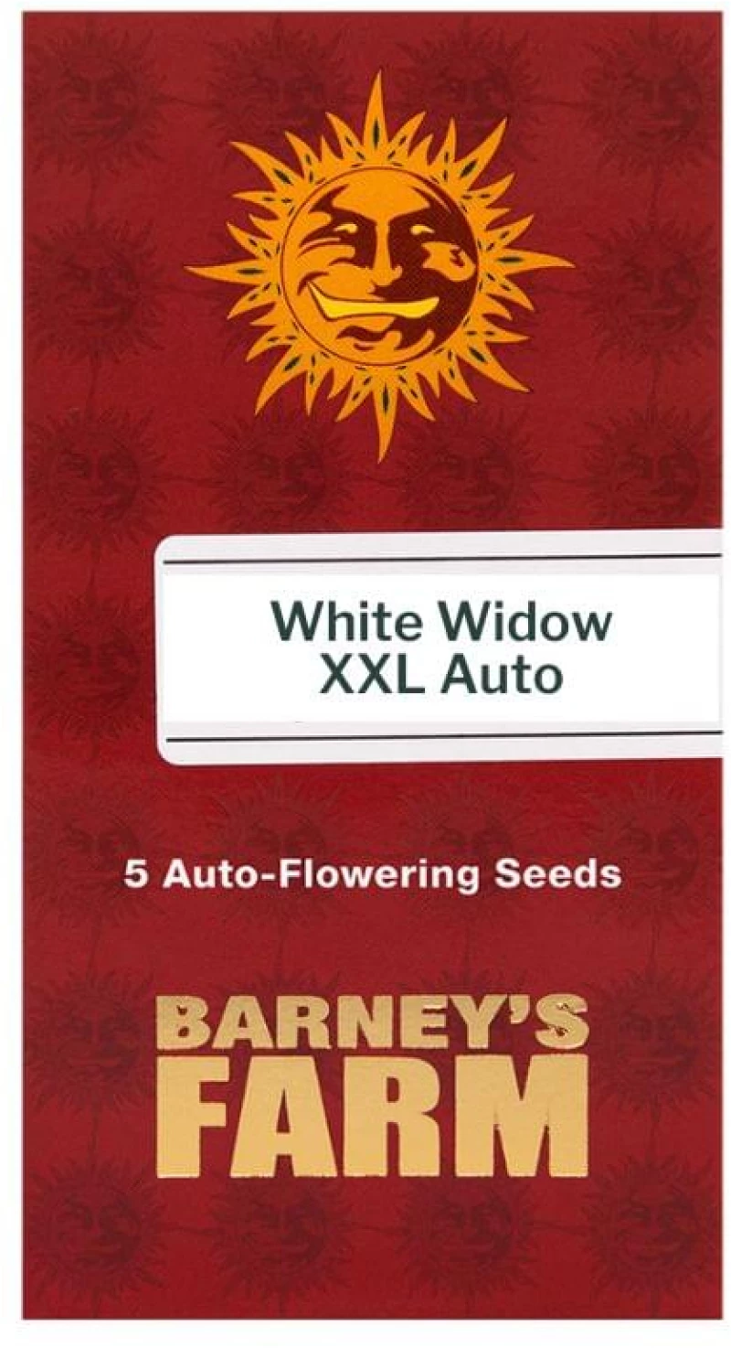 Barneys - White Widow XXL Auto - 5 seeds