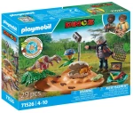 PLAYMOBIL DINOS ΦΩΛΙΑ ΣΤΕΓΟΣΑΥΡΟΥ ΚΑΙ ΚΛΕΦΤΗΣ ΑΥΓΩΝ (#71526)