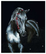 Diamond Dotz Midnight Stallion