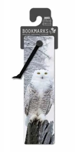 Σελιδοδείκτης IF 3D-Snowy Owl