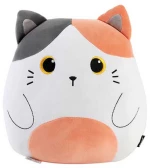 Μαξιλαράκι Orange Cat 33cm