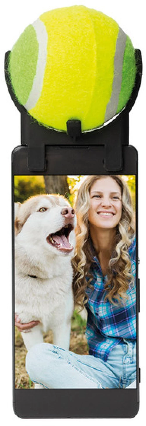 The Source dog Selfie Tool