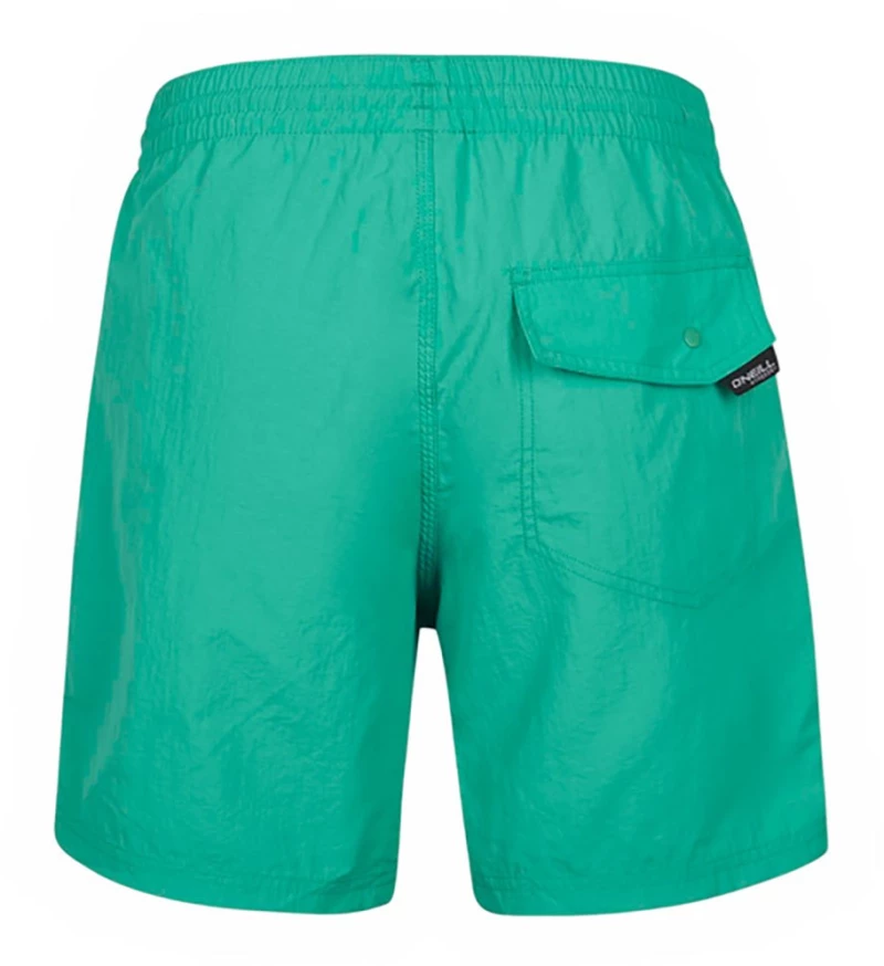 ONEILL VERT 16 SWIM SHORTS (N03200-16031) SEA GREEN
