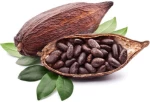 Μπάρα  Incas  60g   HOLIGREEN 15283