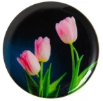 POP HOLDER ΤΟΥΛΙΠΕΣ 112.0029
