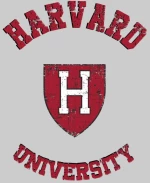 Harvard W Hoodie (Replica) - BURGUNDY