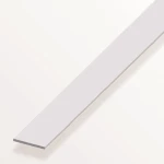 Βέργα Πλακέ Αλουμινίου 100x30x0.2mm