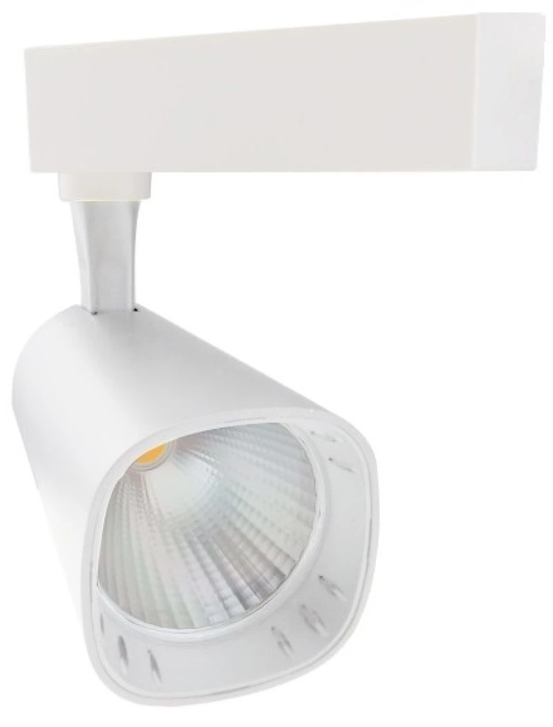 Σποτ Ράγας LED COB 30W 3000K Μονοφασικό Φ8 Epistar Spotlight 6454 Λευκό