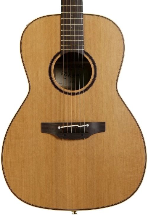 Takamine P3NY Pro Series - Natural