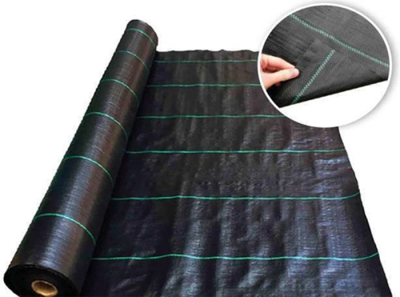 Garden Ύφασμα Εδαφοκάλυψης 100gr/m² 1x50m 112342