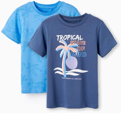 Σετ 2 μπλούζες κοντομάνικες αγόρι "Tropical state of mind" μπλε-γαλάζιο (Μπλε)