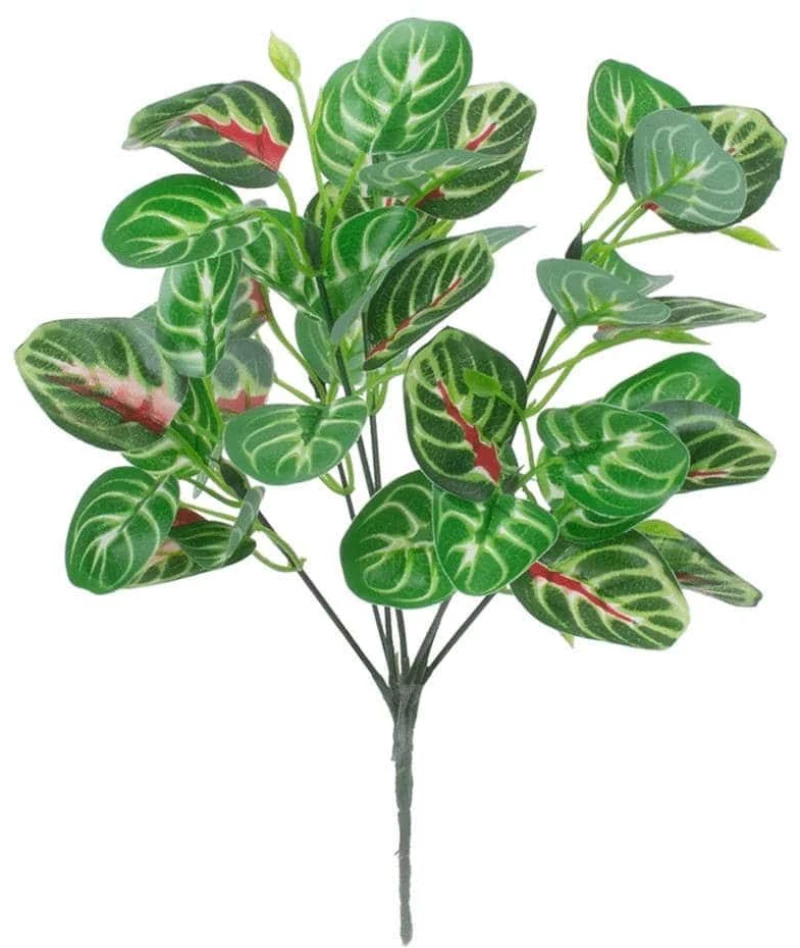 Τεχνητό Φυτό Αιμόφυλλο 78237 35cm Green-Red GloboStar