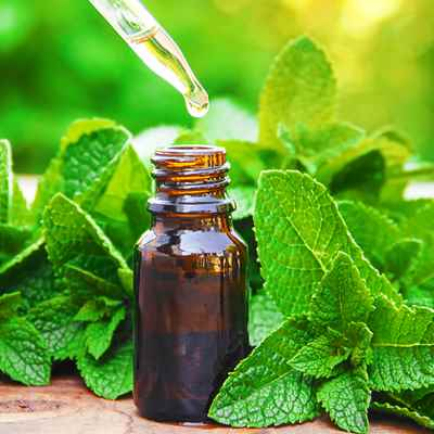 Φυσικό Αιθέριο Έλαιο Μέντας Natural Essential Oil Spearmint 10ml