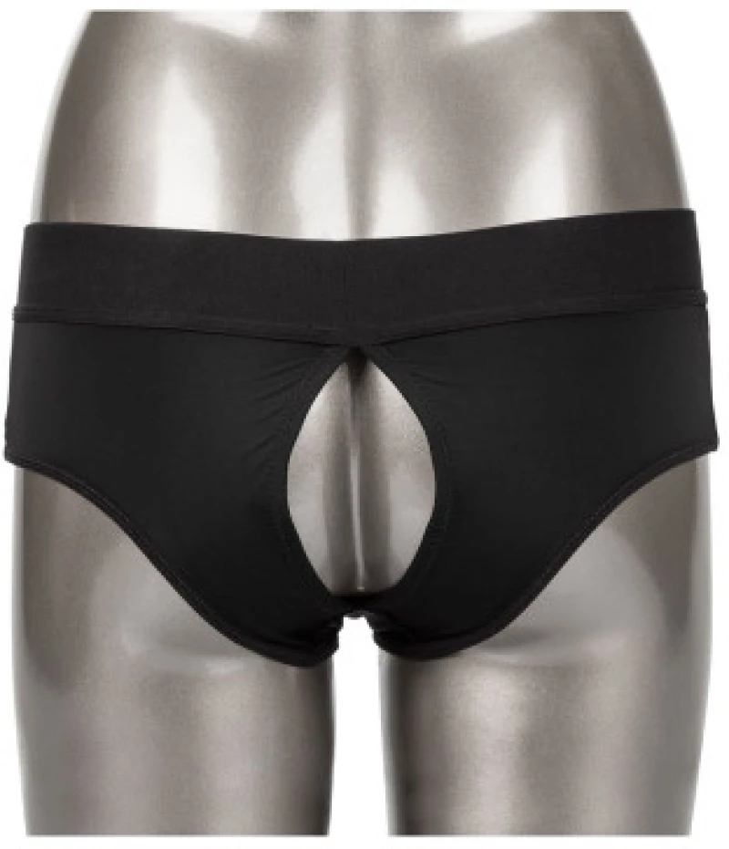 Backless Brief Harness with O ring