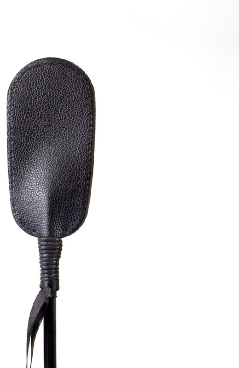 SECRET PLAY - BLACK WHIP