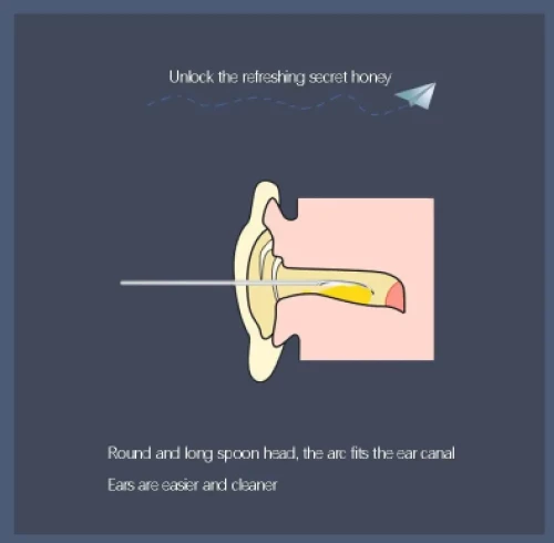 Εργαλεία καθαρισμού αυτιών 6 τεμάχια μεταλλική θήκη