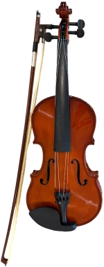 EBV1410 4/4 VIOLIN PRIMO EKO BOWED INSTRUMENTS Κλασσικό Βιολί, 4/4