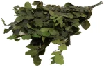 Bunch Fagus Pres.  150GR GREEN