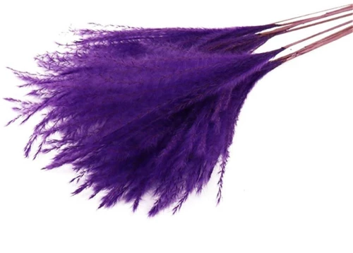PAMPAS FLUFFY 10pc PURPLE