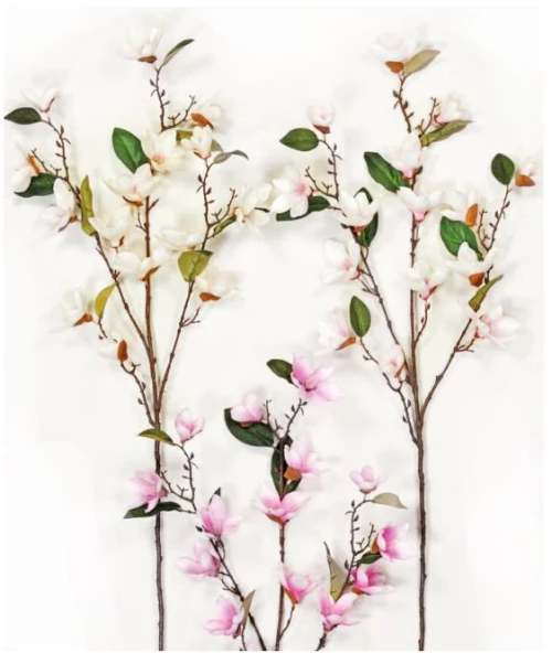 KΛAΔI MANΩΛIA 95cm