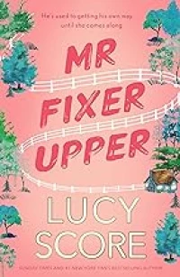 Mr. Fixer Upper
