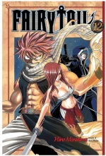 FAIRY TAIL 12