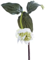 Φυτό ArteLibre Λευκό Τεχνητό 86cm