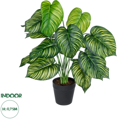 GloboStar® Artificial Garden CALATHEA 20912 Διακοσμητικό Φυτό Καλαθέα Υ75cm