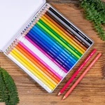 Staedtler - Watercolor colored pencil, 24 pcs (14610C M24) / Toys