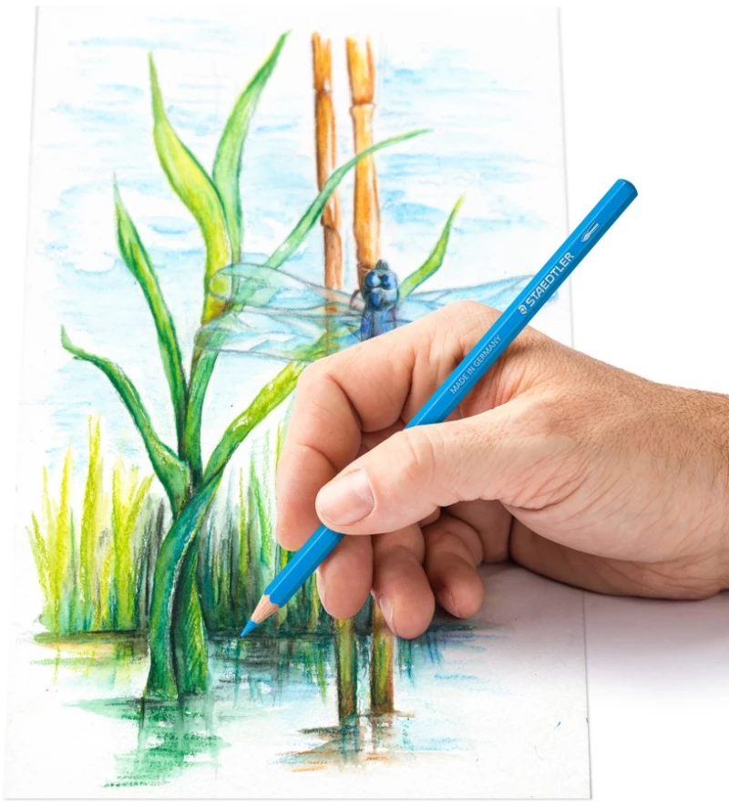 Staedtler - Watercolor colored pencil, 24 pcs (14610C M24) / Toys