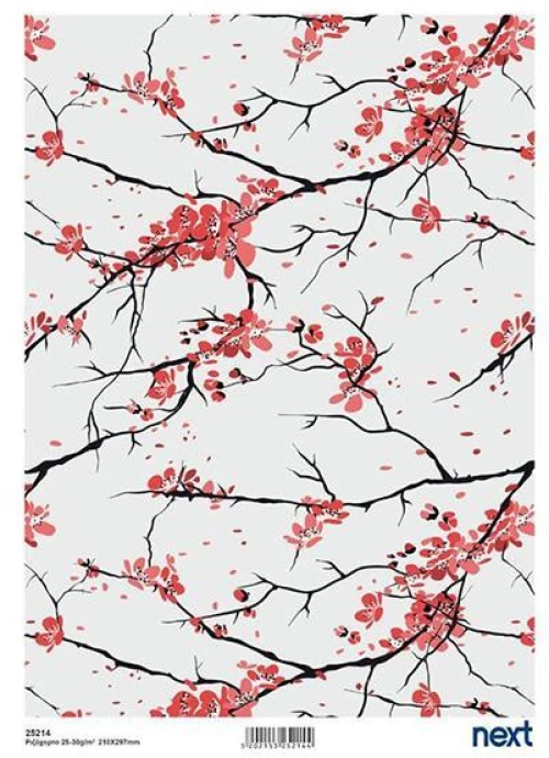 443418 NEXT ΡΙΖΟΧΑΡΤΟ "ALMOND TREE" 21X29ΕΚ. ΠΑΚ
