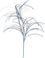ΤΥΡΚΟΥΑΖ GLITTER GRASS ΚΛΑΔΙ 85ΕΚ