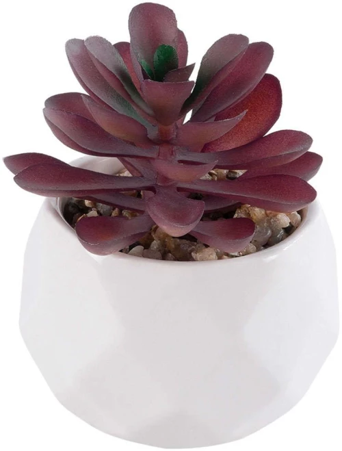 Τεχνητό Φυτό Σε Κασπώ Crassula 21004 Φ7x9,5cm Brown-White GloboStar Πηλός,Πολυαιθυλένιο