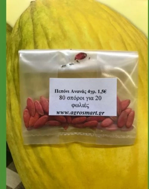 Πεπόνι Ανανάς 1kg