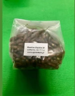 Φασόλια Ζαργάνα καθιστή 130gr