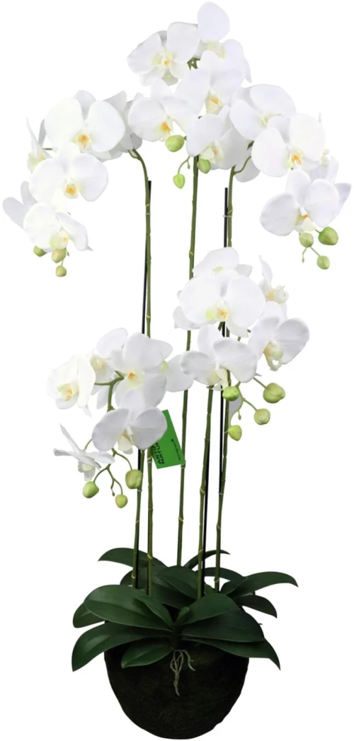 Supergreens Τεχνητό Φυτό Ορχιδέα Phalaenopsis Λευκό 110 εκ.