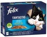 Γατοτροφή Purina Fantastic