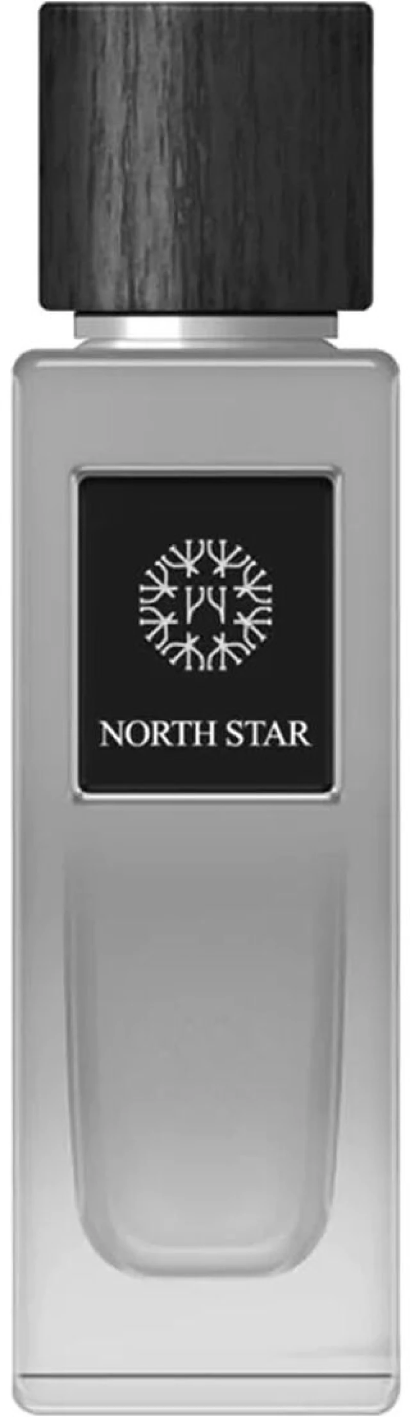 Ανδρικό Άρωμα EDP The Woods Collection 100 ml Natural North Star