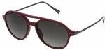 Unisex Γυαλιά Ηλίου Sting SST006532GHM