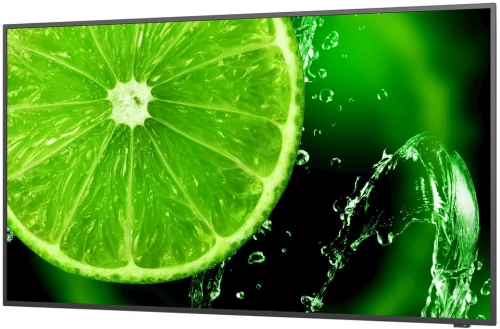 Οθόνη NEC 60005052 49" IPS LED
