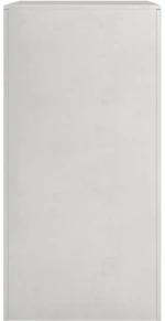 vidaXL Ραφιέρα Καυσόξυλων 60x40x80 εκ. από Ανοξείδωτο ατσάλι